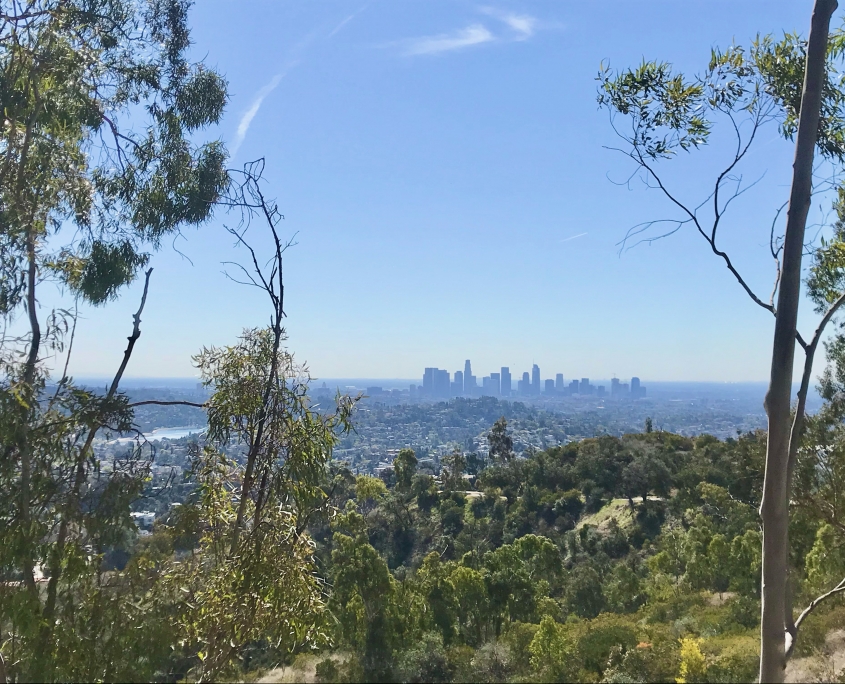 Griffith Park Trail