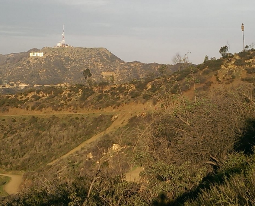 Hollywood sign