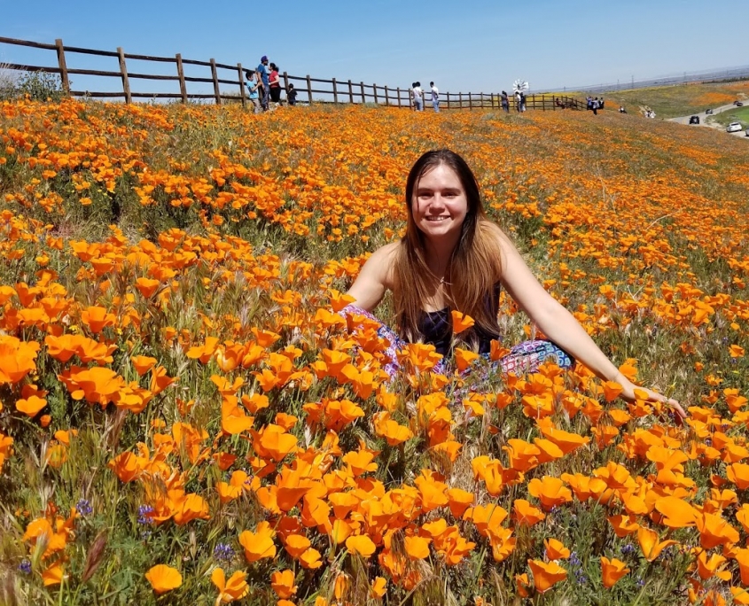 lara bideyan- bloom flowers